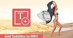 Add Subtitles to Mkv