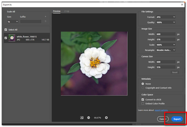 Adobe Photoshop Export Image