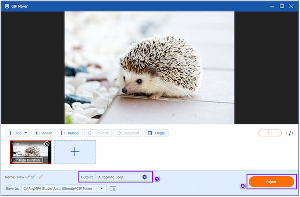 AnyMP4 Photo to GIF Export