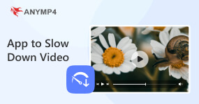 App to Slow Down Video