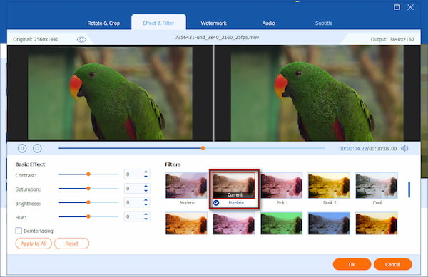 Apply Mosaic Effect In Anymp4