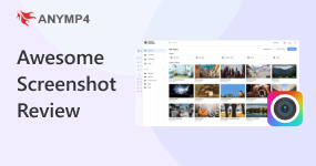 Awesome Screenshot Review