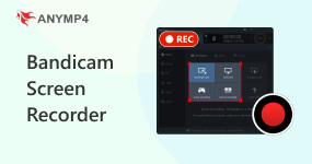 Bandicam Screen Recorder