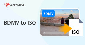 BDMV to ISO