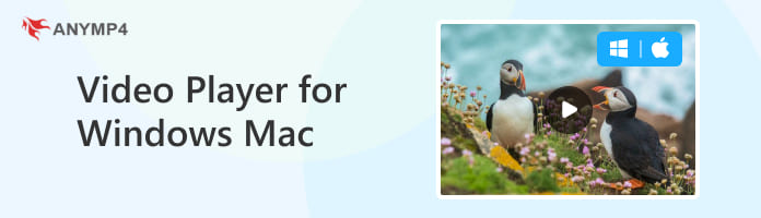 Best Video Player for Windows and Mac