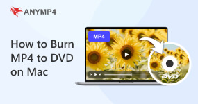 Burn MP4 to DVD on Mac