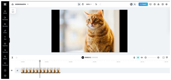 Capcut Scale-Zoom Preview Effect