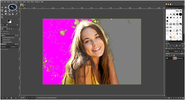 Choose Fuzzy Select Tool