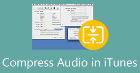 Compress Audio in iTunes