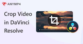 Crop Video in DaVinci Resolve