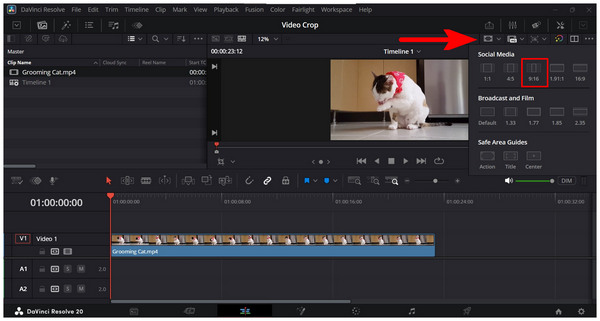 Davinci Resolve Aspect Ratio Marker