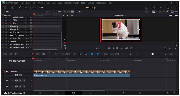 Davinci Resolve Crop Active