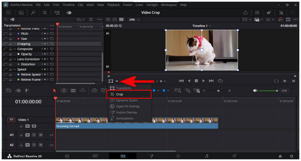 Davinci Resolve Crop