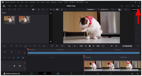Davinci Resolve Inspector