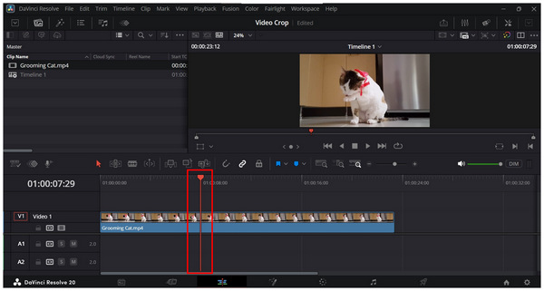 Davinci Resolve Keyframe Start