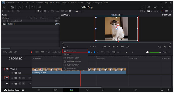 Davinci Resolve Transform