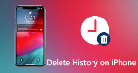 Delete History on iPhone
