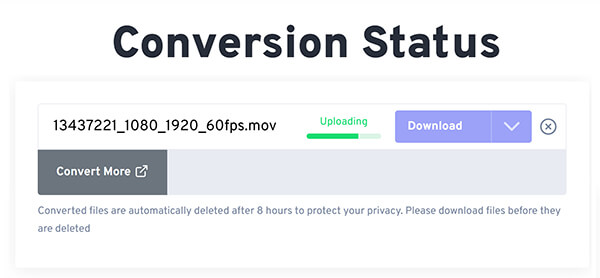 Download GIF in FreeConvert