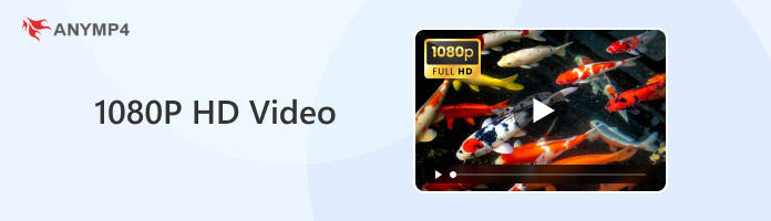 HD Video Player