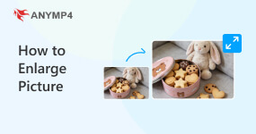 How to Enlarge Picture