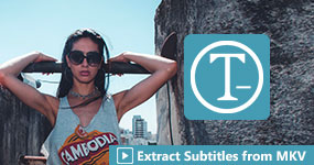 Extract Subtitles from MKV Videos