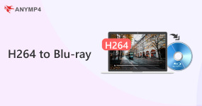 Best Blu Ray Creator Software