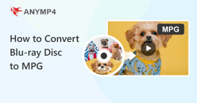 How to Rip Blu-ray Disc to MSG