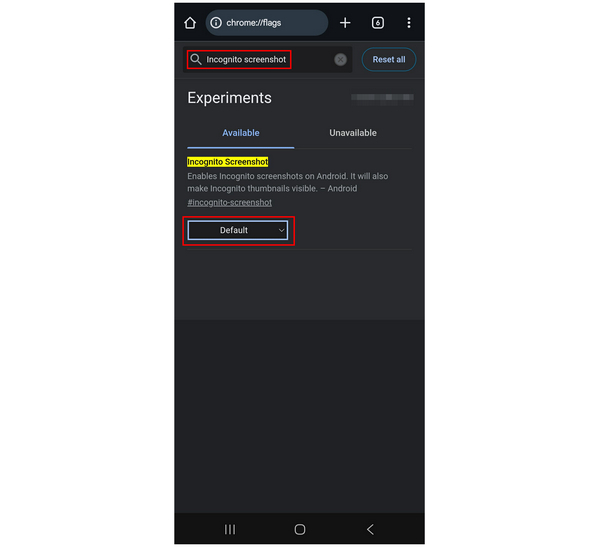 Incognito Screenshots Search Bar
