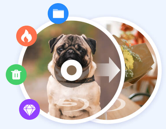 Lossless Blu Ray Copy