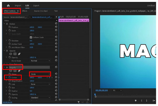 Magnify Effect Modify Setting