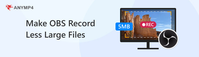 Make Obs Record Less Large Files