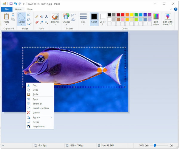 Make PNG Background Transparent Paint Cut