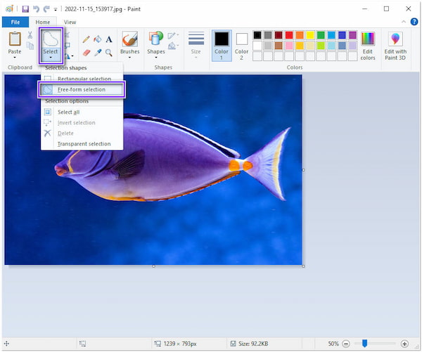 Make PNG Background Transparent Paint Free Form