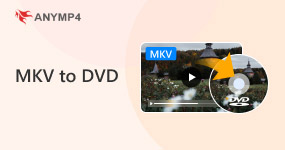 Mkv to DVD