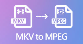 MKV to MPEG