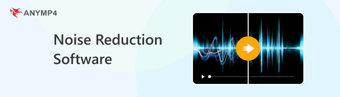 Noise Reduction Software