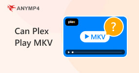 Can Plex Play MKV