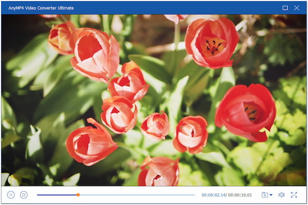 Preview Enhanced Video