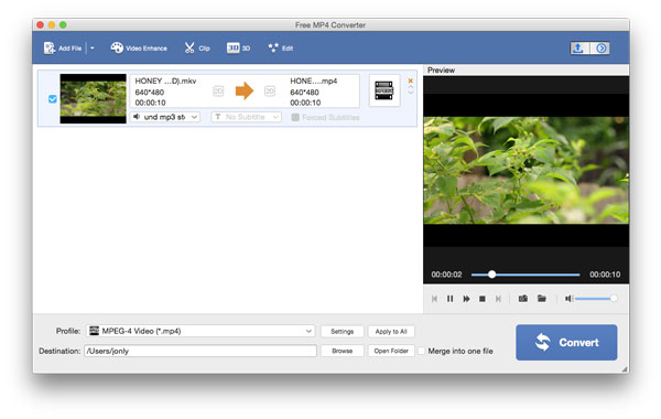 preview in the player window