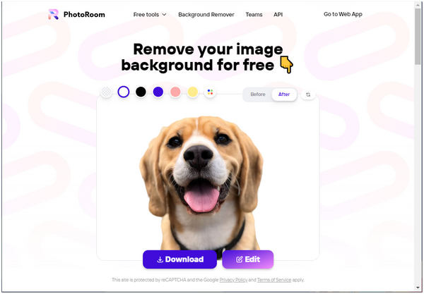 Remove BG Alternatives PhotoRoom