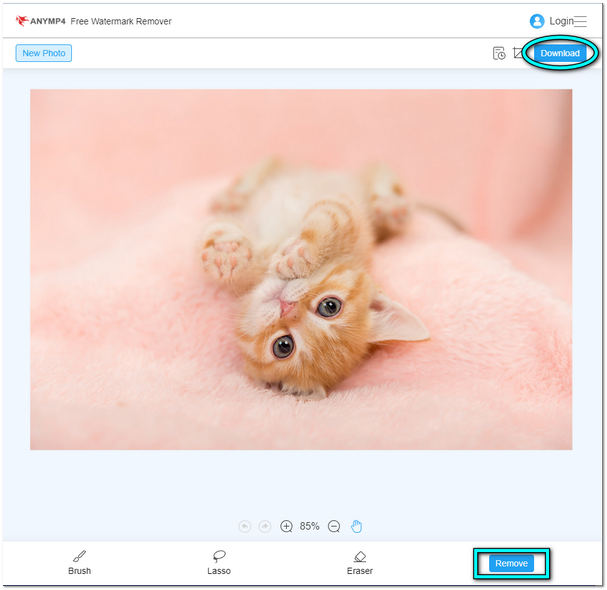 Remove Emoji from AnyMP4 Download