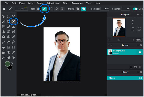 Remove Image Background in Pixlr Magic Mask