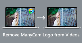 Remove Manycam Watermark from Videos