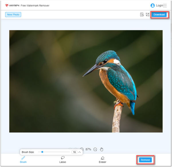 Remove Watermark AnyMP4 Watermark Remover Online Download