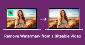 Remove Watermark from A Biteable Video