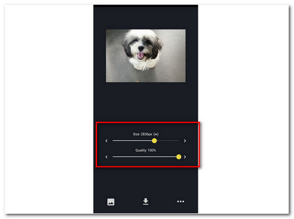 Resizer Resize Image Adjust