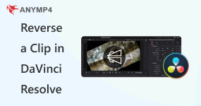 Reverse a Clip in DaVinci Resolve