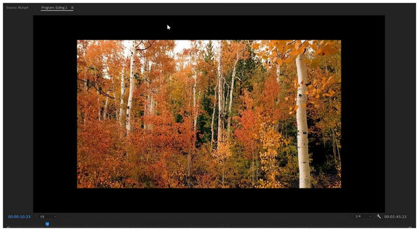 Scale To Frame Size Black Bars