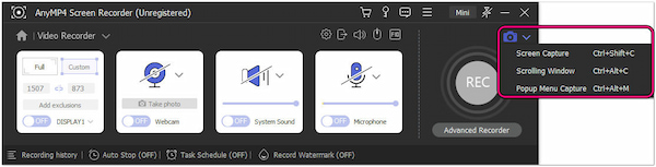 Select Screen Capture Option