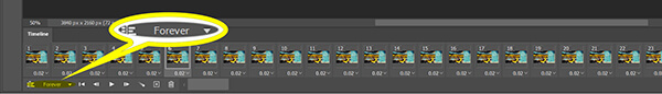 Set The Gif Loop In Photoshop